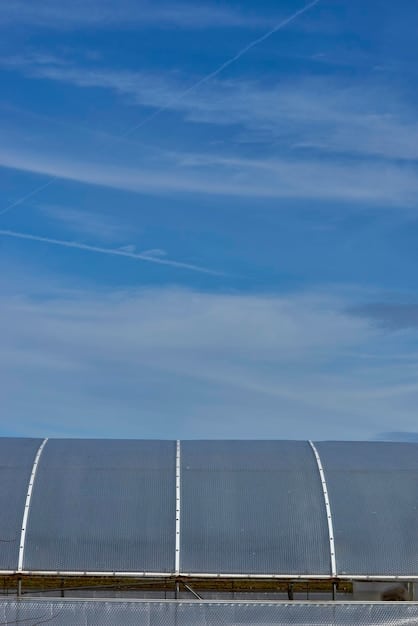 A field of solar panels stretching towards the horizon under a clear blue sky, symbolizing the transition to renewable energy. The image should convey a sense of clean energy production and technological advancement.