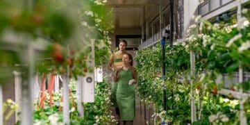 The Future of Urban Gardening: Growing 30% of Your Food at Home by 2026 - Cover Image