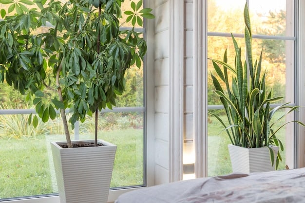 Biophilic Design: Nature-Inspired Homes for a 15% Well-being Boost