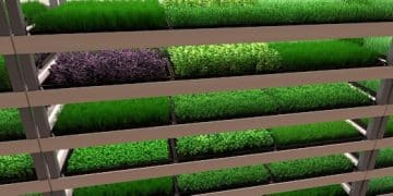 Vertical Farming: Can Indoor Agriculture Solve Food Security? - Cover Image