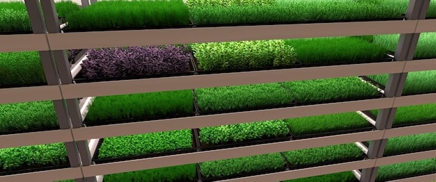 Vertical Farming: Can Indoor Agriculture Solve Food Security?