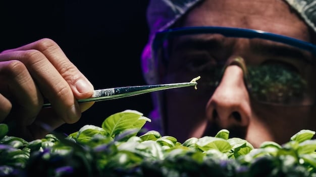 Close-up of a worker in a vertical farm, examining the health and growth of seedlings. The worker is wearing protective gear, and the image highlights the blend of technology and human oversight required in vertical farming operations.
