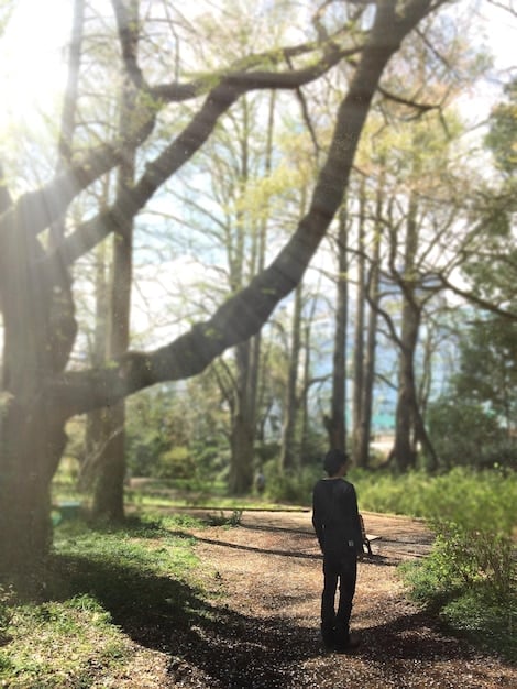 A person practicing mindful walking in a serene forest, with sunlight streaming through the trees.