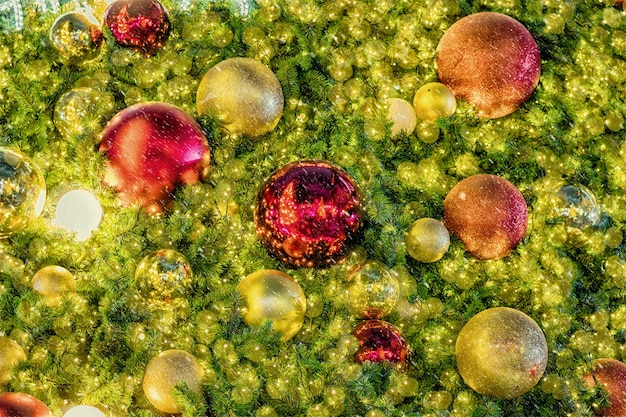 A microscopic view of a diverse and thriving gut microbiome, showcasing different types of bacteria and their interaction within the gut environment.